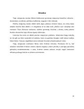 Rašto darbas apie emigraciją 9 puslapis