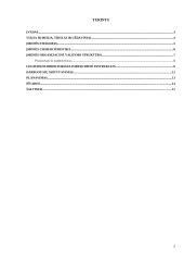 UAB "Pro logistics" steigimas 2 puslapis