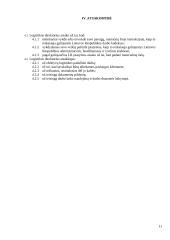 UAB "Pro logistics" steigimas 11 puslapis