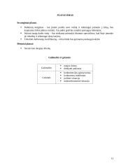 UAB "Pro logistics" steigimas 13 puslapis