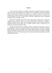 UAB "Pro logistics" steigimas 3 puslapis