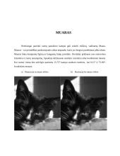 Muaras ir būdai, kaip jį sumažinti ar jo išvengti 3 puslapis