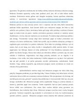 Su kokiu didžiausiu iššūkiu susiduria Z kartos atstovai mokymosi procese 5 puslapis