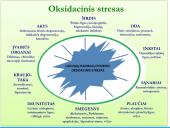 Ląstelės oksidacinis stresas 3 puslapis