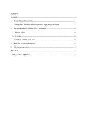 Pietų Korėjos demografinė analizė 2 puslapis