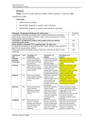 Tiesinių duomenų struktūrų savarankiškas darbas 3 puslapis