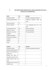 Vaikų gimtadienio organizavimas 7 puslapis