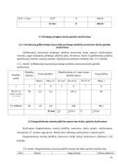 Statybos darbų technologijos 16 puslapis