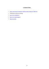 UAB „GEIDENA“ skalbyklos cheminio valymo paslaugos pardavimo programa 16 puslapis