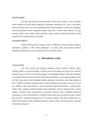 UAB „GEIDENA“ skalbyklos cheminio valymo paslaugos pardavimo programa 6 puslapis