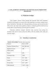 UAB „GEIDENA“ skalbyklos cheminio valymo paslaugos pardavimo programa 9 puslapis