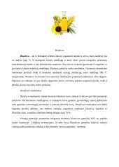 Biodegalai referatas 7 puslapis