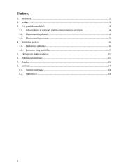 Elektromobilių rinka pasaulyje. 2 puslapis