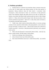 Elektromobilių rinka pasaulyje. 14 puslapis