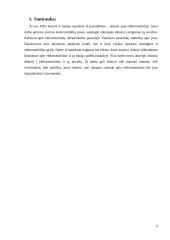 Elektromobilių rinka pasaulyje. 3 puslapis