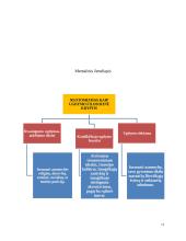 Neotomizmas kaip ugdymo filosofinė kryptis 13 puslapis