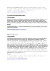 Sveikatingumas 10 puslapis