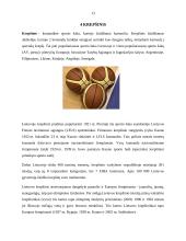 BC Žalgiris rašto darbas 14 puslapis