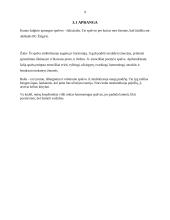 BC Žalgiris rašto darbas 10 puslapis