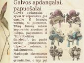 XIXa. Anglijos mada 13 puslapis