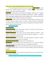 Teises egzamino teorinė medžiaga 2 puslapis