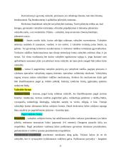 Teises egzamino teorinė medžiaga 11 puslapis