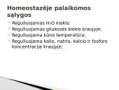 ﻿Homeostazė. Nervinis ir humoralinis organizmo reguliavimas 4 puslapis