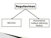 ﻿Homeostazė. Nervinis ir humoralinis organizmo reguliavimas 7 puslapis