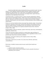 Aizeko asmenybės testas 2 puslapis