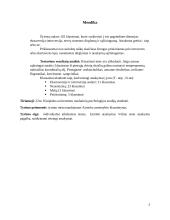 Aizeko asmenybės testas 3 puslapis