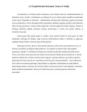 Verslo komunikacijos su Italija ypatumai 19 puslapis