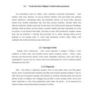 Verslo komunikacijos su Italija ypatumai 20 puslapis