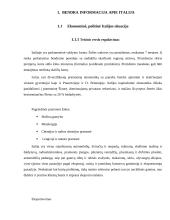 Verslo komunikacijos su Italija ypatumai 7 puslapis