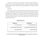 Verslo komunikacijos su Italija ypatumai 8 puslapis