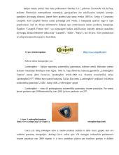 Verslo komunikacijos su Italija ypatumai 10 puslapis