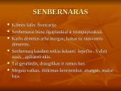 Geriausios šunų veislės 13 puslapis