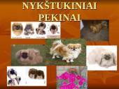 Geriausios šunų veislės 4 puslapis