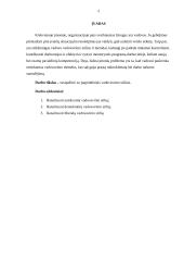 Vadovavimo komandai metodų analizė 2 puslapis