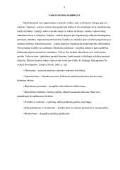 Vadovavimo komandai metodų analizė 3 puslapis