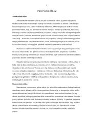 Vadovavimo komandai metodų analizė 5 puslapis