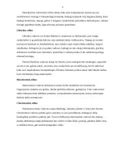 Vadovavimo komandai metodų analizė 6 puslapis