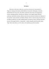 Vadovavimo komandai metodų analizė 7 puslapis