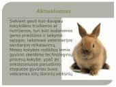 Biocheminiai procesai triušienoje ir nutrijienoje 2 puslapis