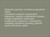 Biocheminiai procesai triušienoje ir nutrijienoje 13 puslapis