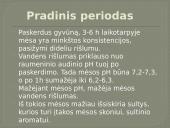 Biocheminiai procesai triušienoje ir nutrijienoje 14 puslapis