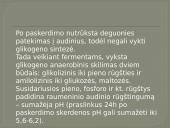 Biocheminiai procesai triušienoje ir nutrijienoje 18 puslapis