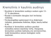 Veiksnių, įtakojančių triušienos ir nutrijienos morfologinę sudėtį, analizė 12 puslapis