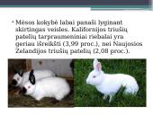 Veiksnių, įtakojančių triušienos ir nutrijienos morfologinę sudėtį, analizė 15 puslapis