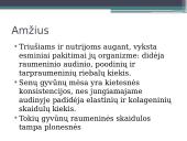 Veiksnių, įtakojančių triušienos ir nutrijienos morfologinę sudėtį, analizė 18 puslapis