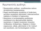 Veiksnių, įtakojančių triušienos ir nutrijienos morfologinę sudėtį, analizė 6 puslapis